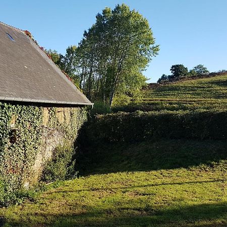 La Puisatiere Lejlighed Saint-Pierre-d'Artheglise Eksteriør billede